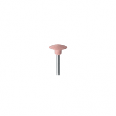 Mounted Pink Polisher H9sf EVE